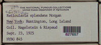 Image Associated With the Occurence